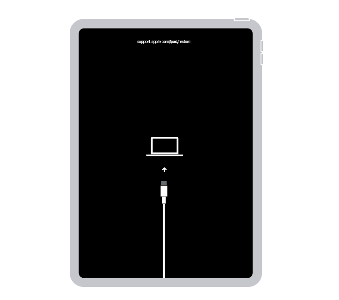 Home Button
